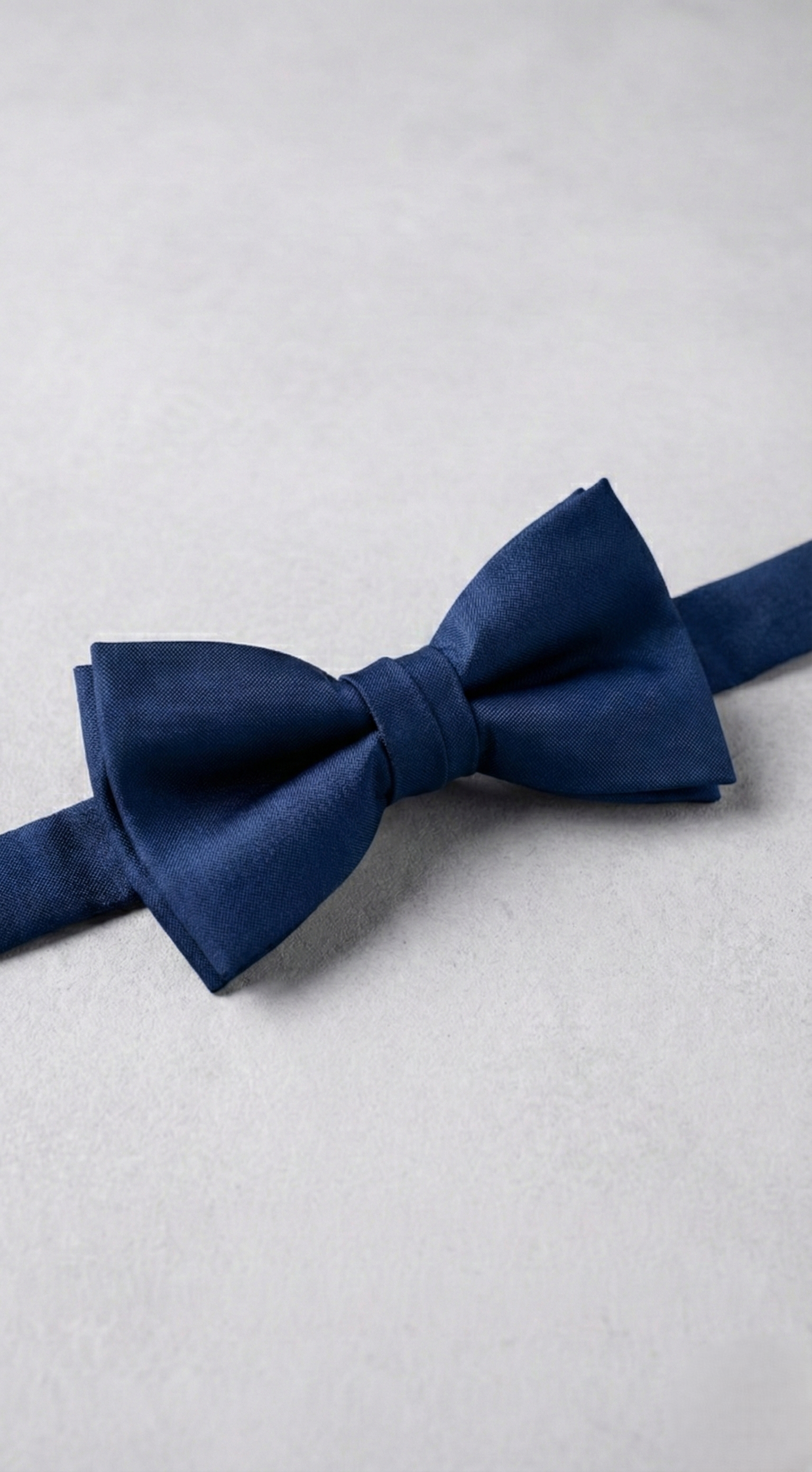 Papillon Uomo Seta Unito