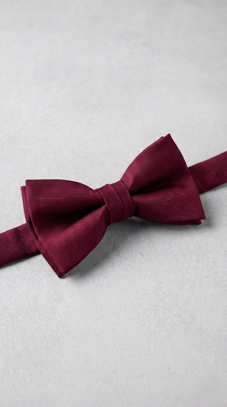 Papillon Uomo Seta Unito